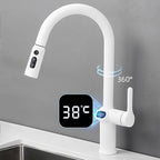 Kitchen Faucet Temperature