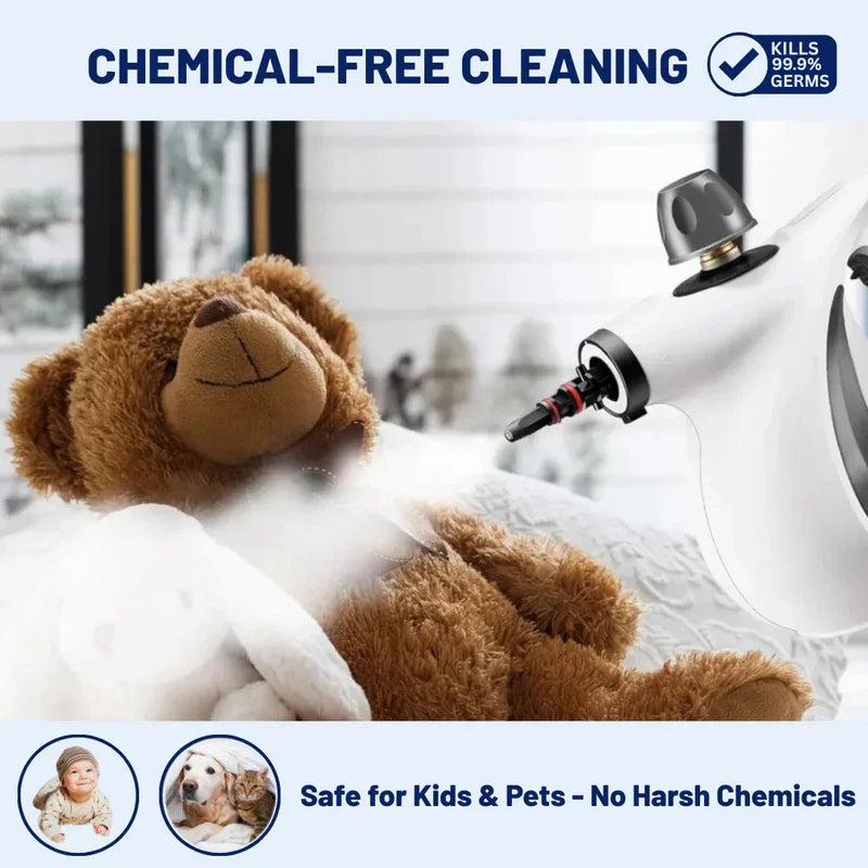 Portable Handheld Steam Cleaner